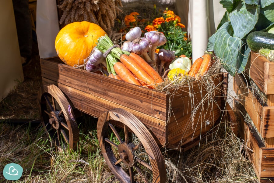 Erntedankfest Bedeutung Bräuche und Ideen zum Erntedank Wunderbunt de