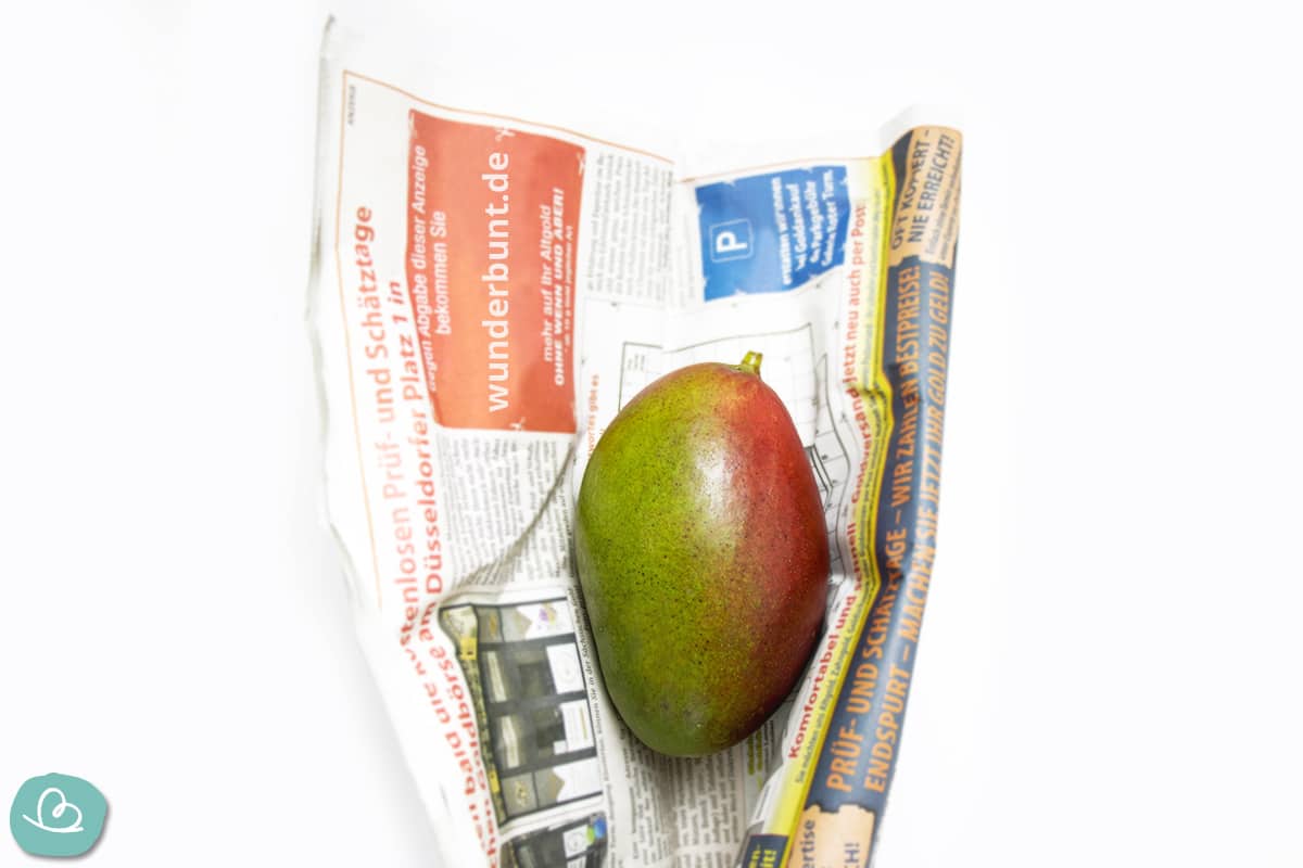 Mango nachreifen in Zeitungspapier