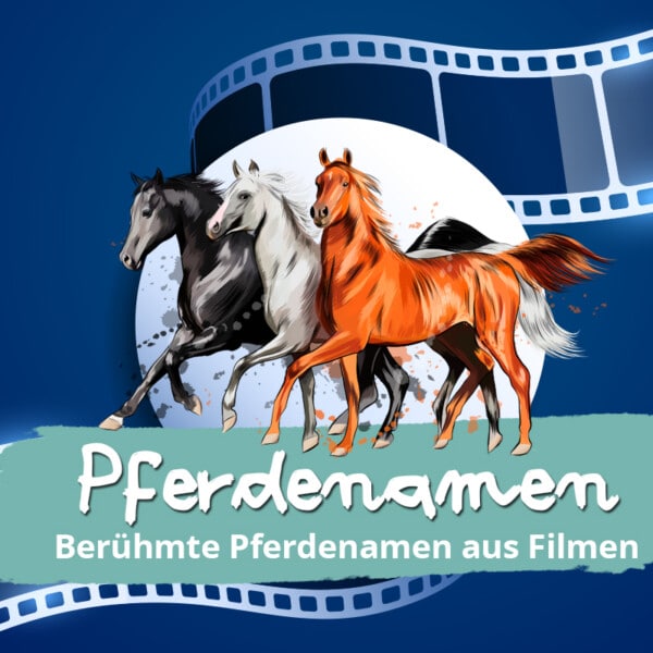 Berühmte Pferdenamen aus Filmen