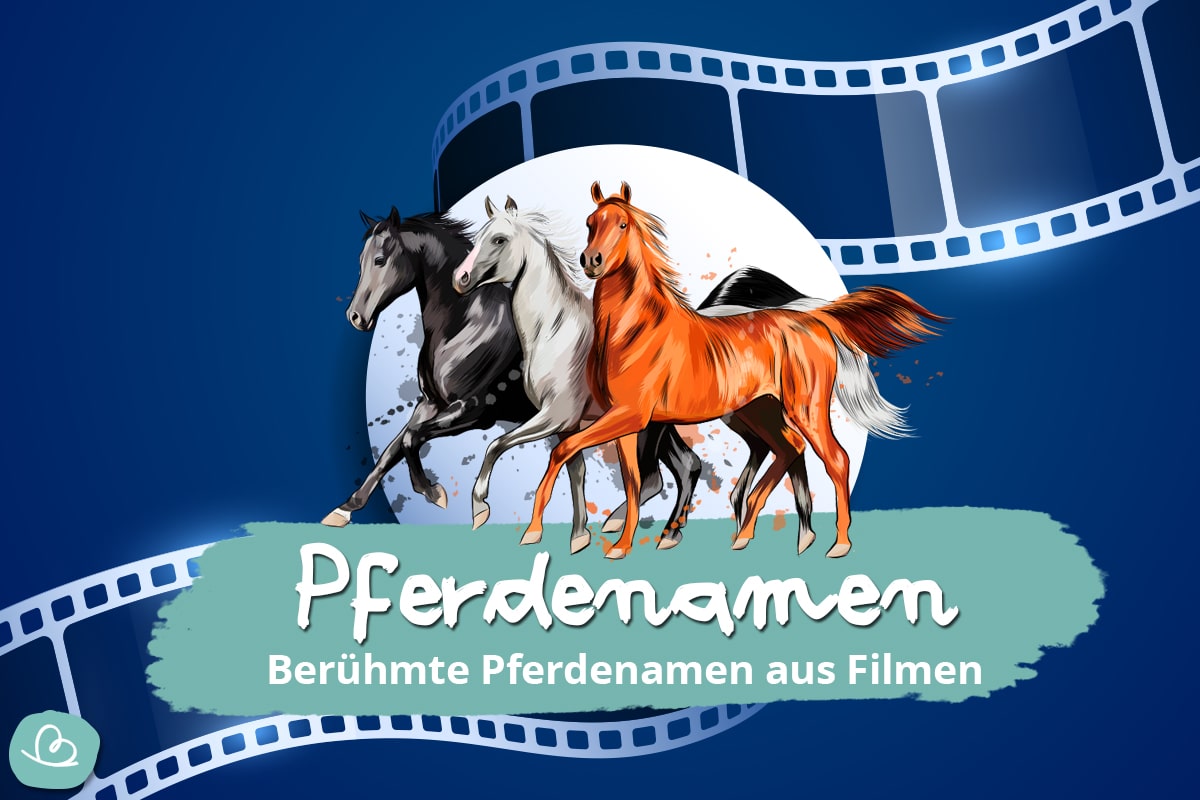 Berühmte Pferdenamen aus Filmen