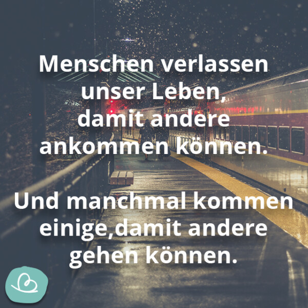 Sprüche gegen Liebeskummer für echte Freunde Wunderbunt.de