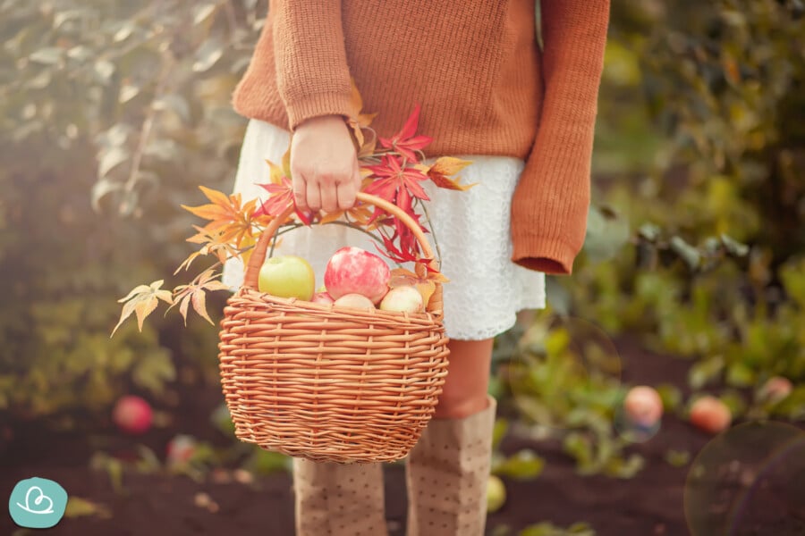 Erntedankfest | Bedeutung, Bräuche Und Ideen Zum Erntedank - Wunderbunt.de