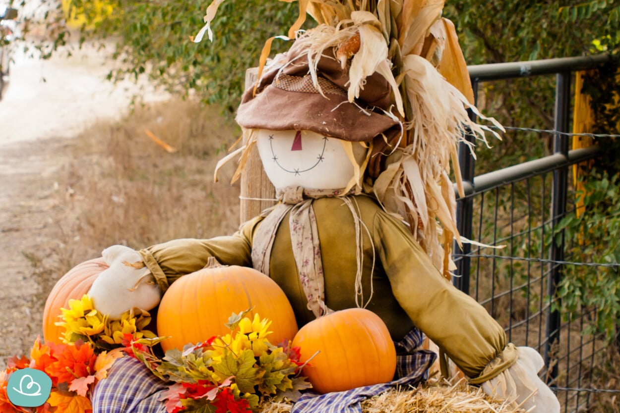 Erntedankfest | Bedeutung, Bräuche und Ideen zum Erntedank - Wunderbunt.de