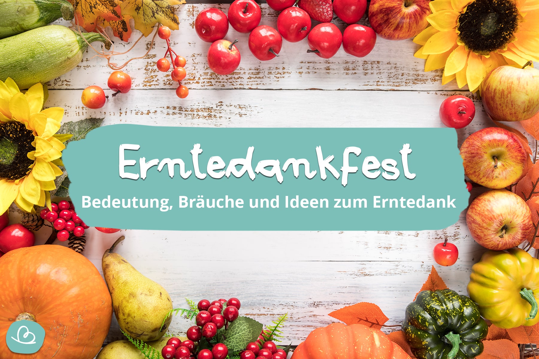 Patelai 12 Paar Kniehohe Socken Für Kinder – Herbst- & Thanksgiving-Design, Alter 4–8 Jahre