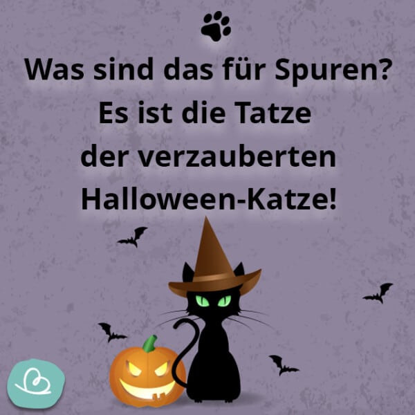 Halloween Sprüche 50 kurze + gruselige Sprüche für Kinder Wunderbunt.de