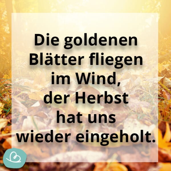 Schöne Herbst Sprüche 50 kurze Sprüche zum Herbst Wunderbunt.de