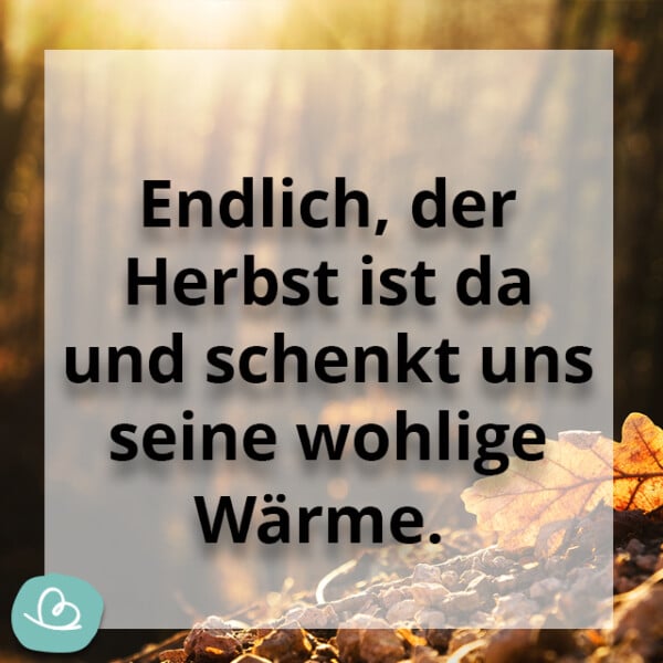 Schöne Herbst Sprüche 50 kurze Sprüche zum Herbst Wunderbunt.de