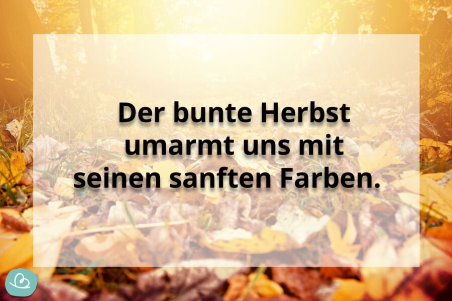 Schöne Herbst Sprüche 50 kurze Sprüche zum Herbst Wunderbunt.de