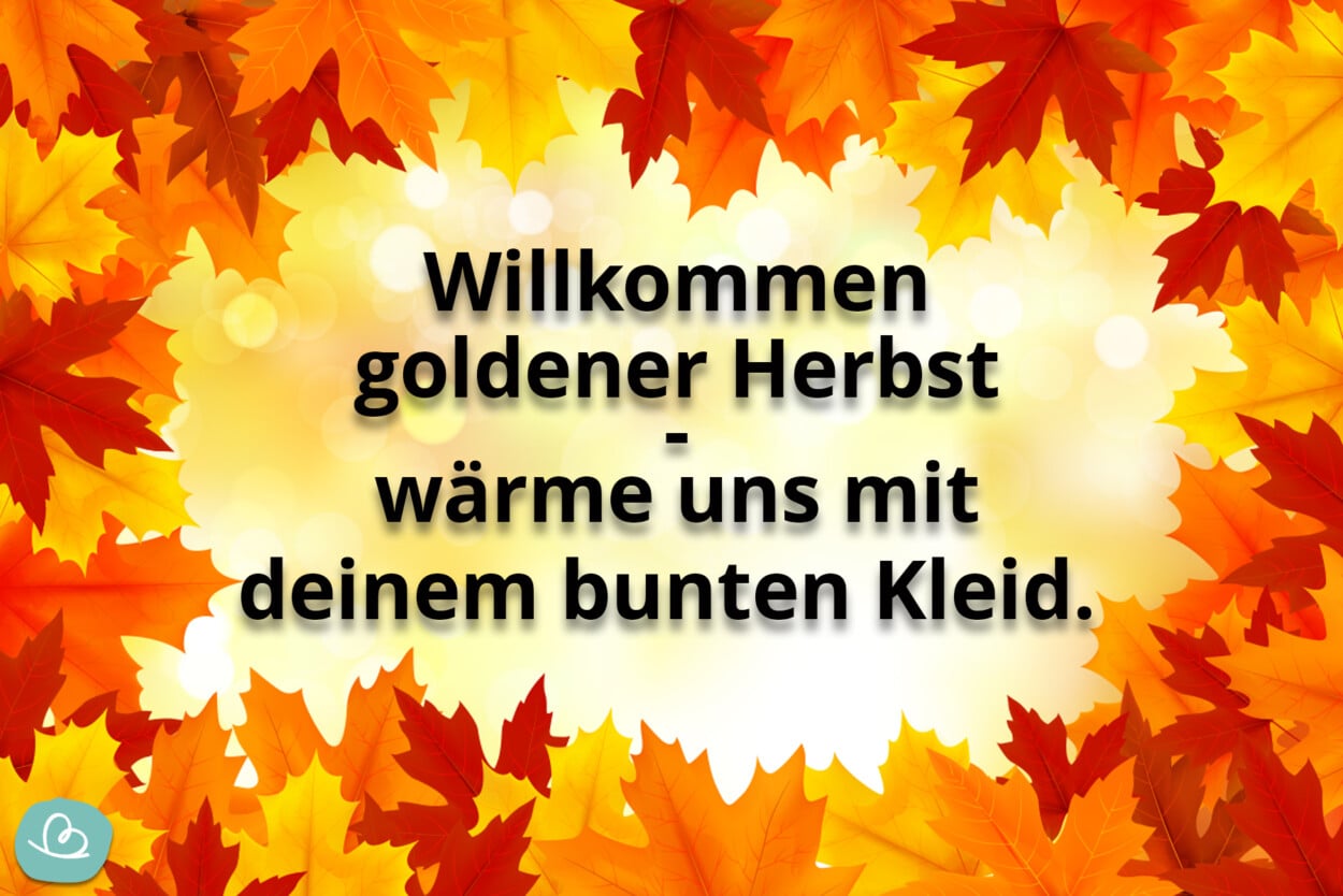 Schöne Herbst Sprüche 50 kurze Sprüche zum Herbst Wunderbunt.de