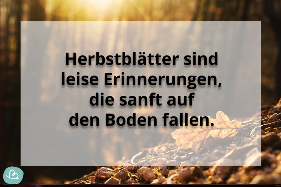 Schöne Herbst Sprüche 50 kurze Sprüche zum Herbst Wunderbunt.de