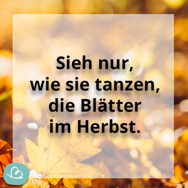 Schöne Herbst Sprüche 50 kurze Sprüche zum Herbst Wunderbunt.de