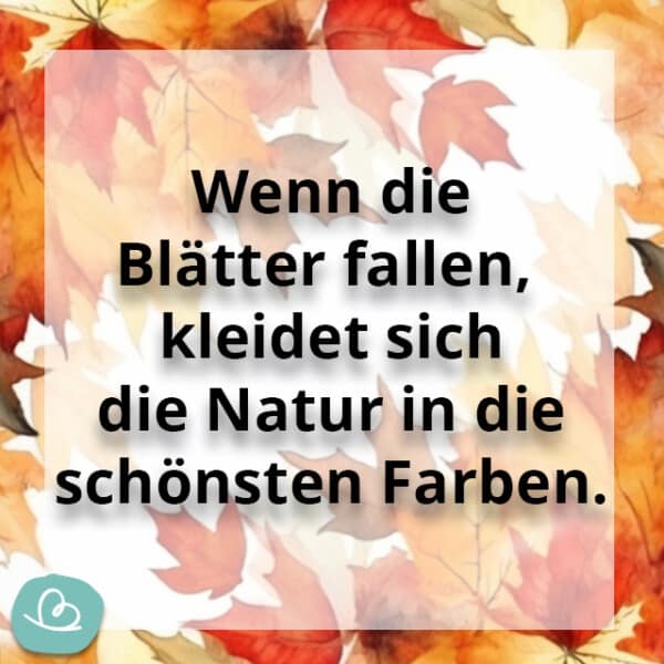 Schöne Herbst Sprüche 50 kurze Sprüche zum Herbst Wunderbunt.de
