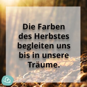 Schöne Herbst Sprüche 50 kurze Sprüche zum Herbst Wunderbunt.de