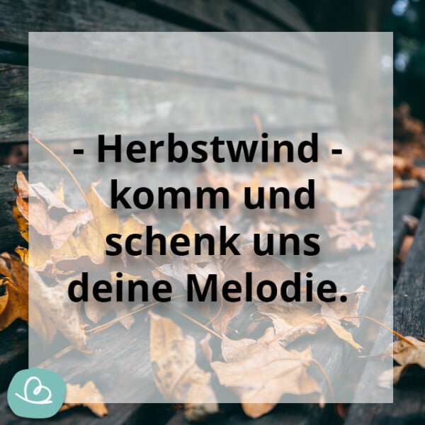 Schöne Herbst Sprüche 50 kurze Sprüche zum Herbst Wunderbunt.de
