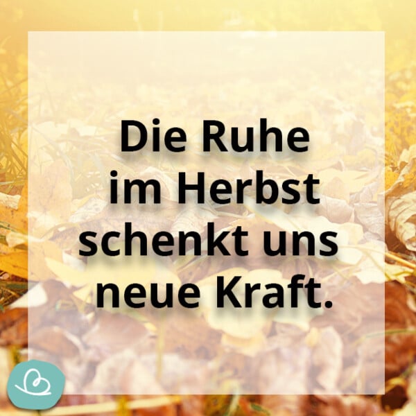 Schöne Herbst Sprüche 50 kurze Sprüche zum Herbst Wunderbunt.de