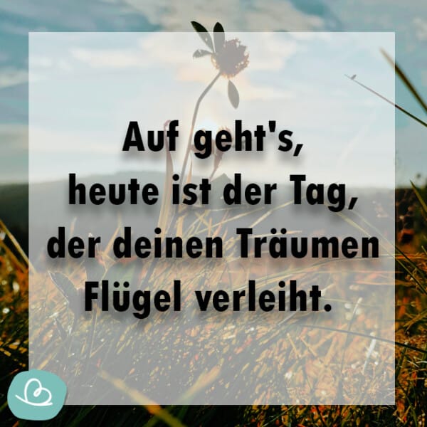 Motivationssprüche 43 motivierende Sprüche für den Tag Wunderbunt.de