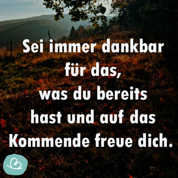 Motivationssprüche | 43 motivierende Sprüche für den Tag - Wunderbunt.de