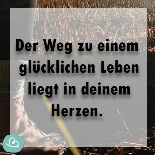 Motivationssprüche 43 motivierende Sprüche für den Tag Wunderbunt.de
