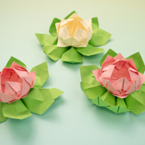 Origami Lotusblüte falten