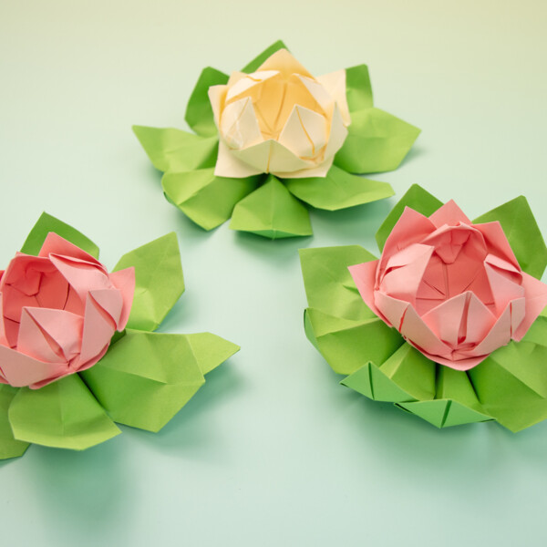 Origami Lotusblüte falten