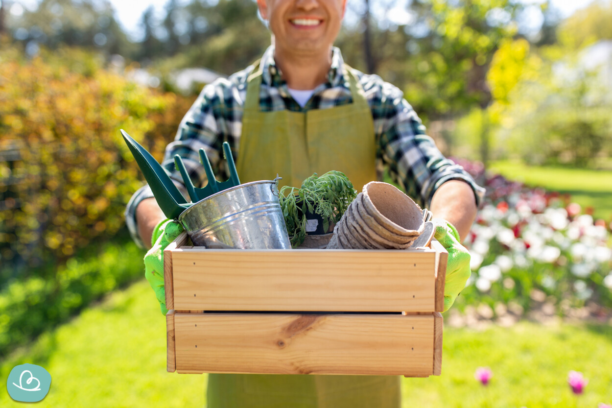 Ordnung im Garten schaffen - vom Chaos zur grünen Wohlfühloase